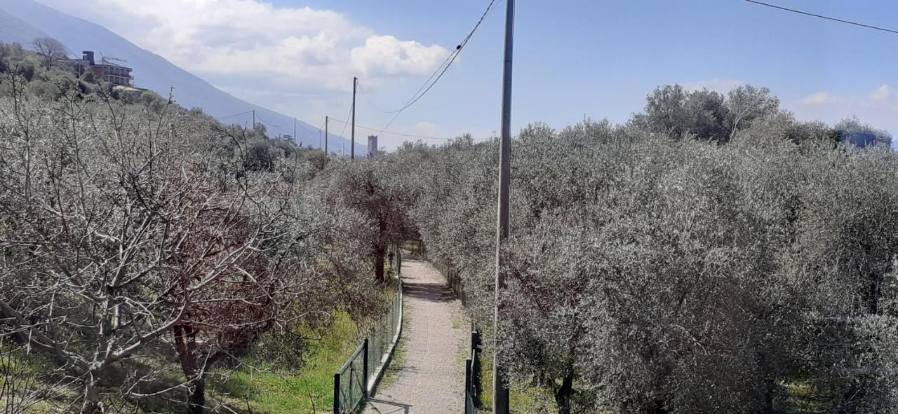 Appartamento Leccino Malcesine Exterior photo