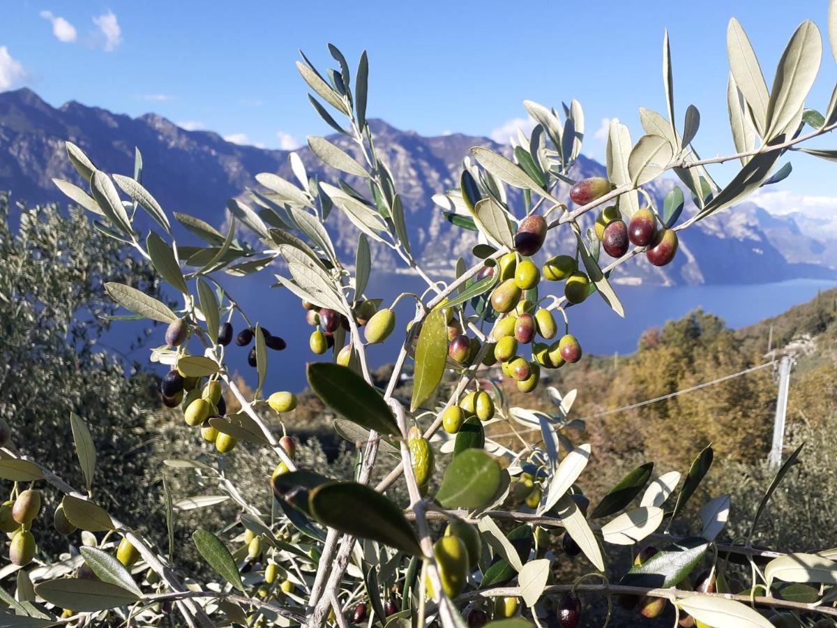 Appartamento Leccino Malcesine Exterior photo